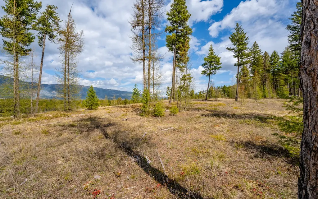 120 Marion Pines Drive Marion MT 59925
