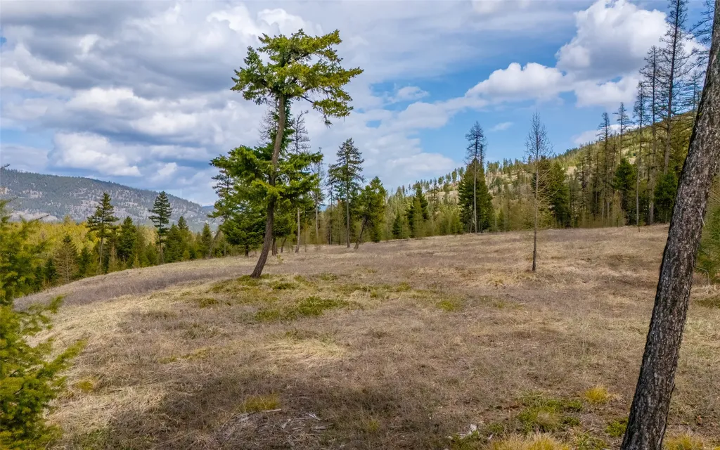 120 Marion Pines Drive Marion MT 59925