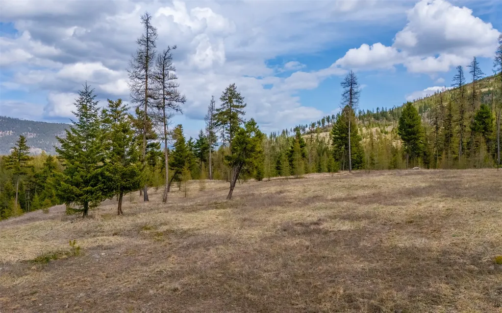 120 Marion Pines Drive Marion MT 59925