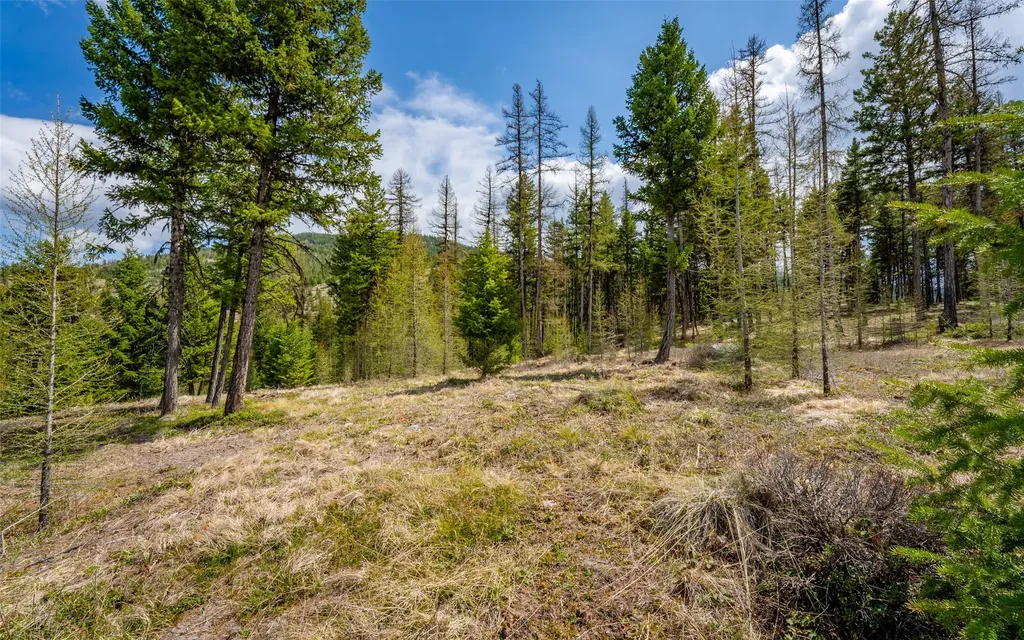120 Marion Pines Drive Marion MT 59925