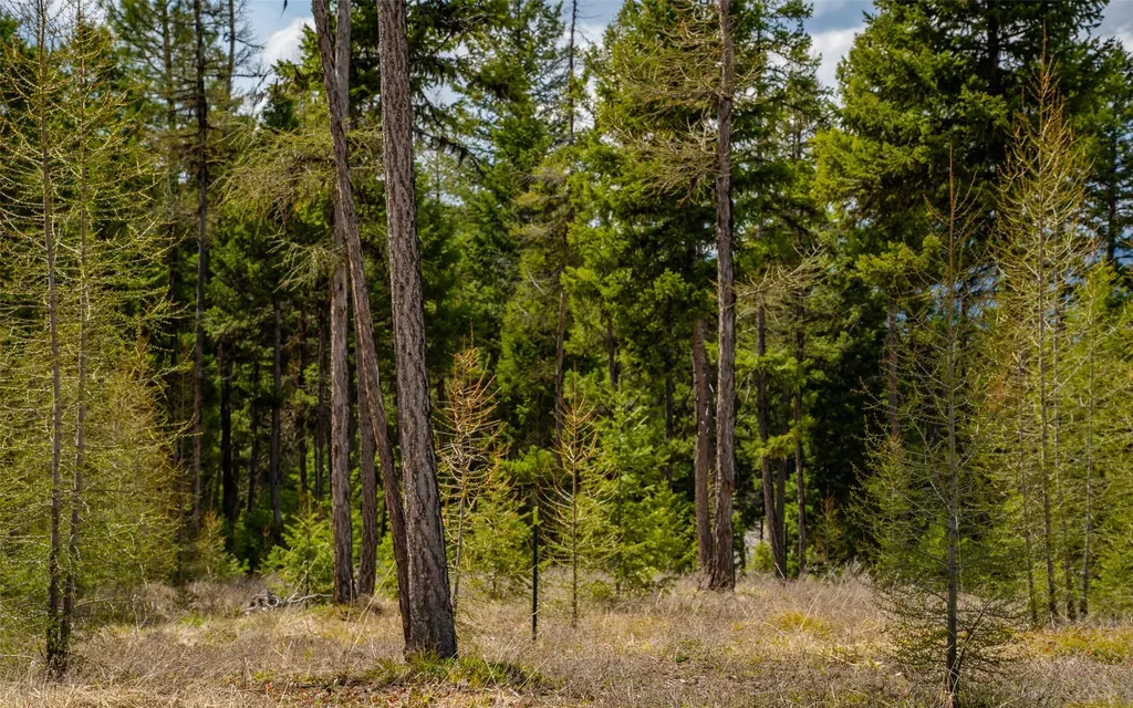 120 Marion Pines Drive Marion MT 59925