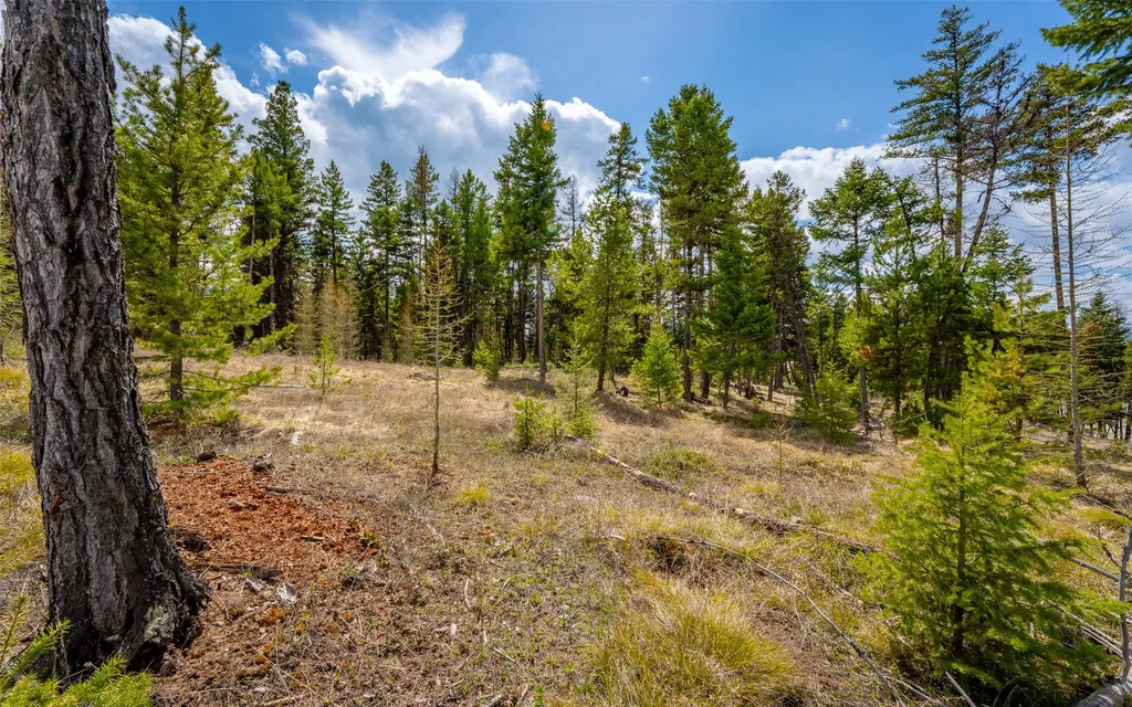 8144 Us Highway 2 W Kila MT 59920