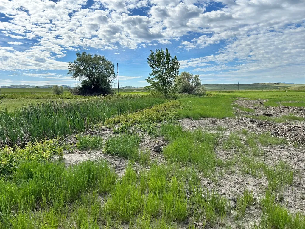 Tbd 44th Street W Havre MT 59501