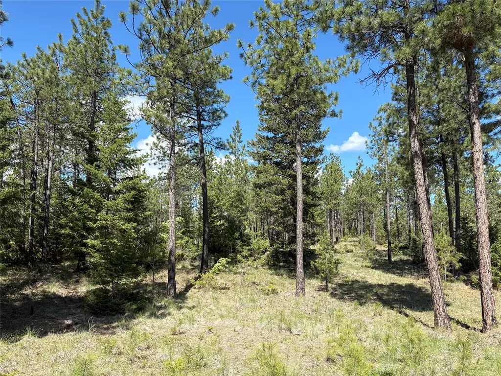 Nhn (Lot 11) Mcgarvey Way Eureka MT 59917