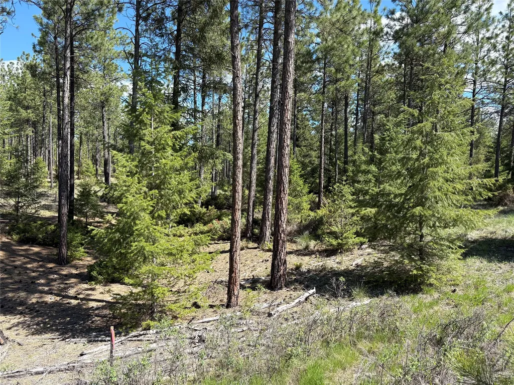 Nhn (Lot 11) Mcgarvey Way Eureka MT 59917