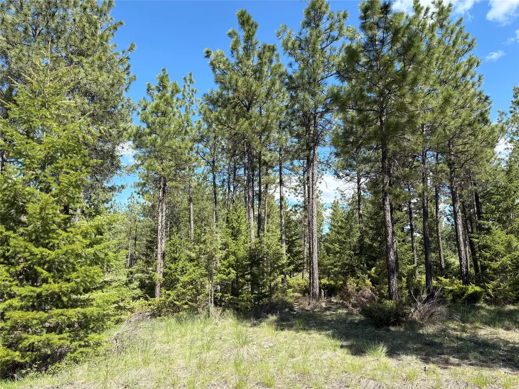 Nhn (Lot 11) Mcgarvey Way Eureka MT 59917