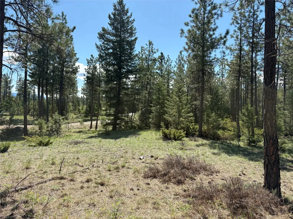 Nhn (Lot 11) Mcgarvey Way Eureka MT 59917