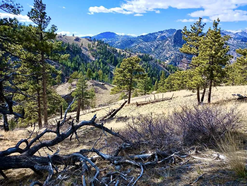 Tbd Novak Creek Lane Cascade MT 59421