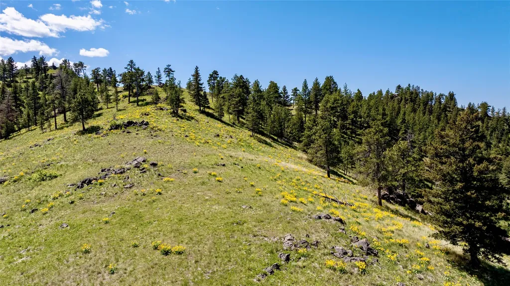Tbd Novak Creek Lane Cascade MT 59421