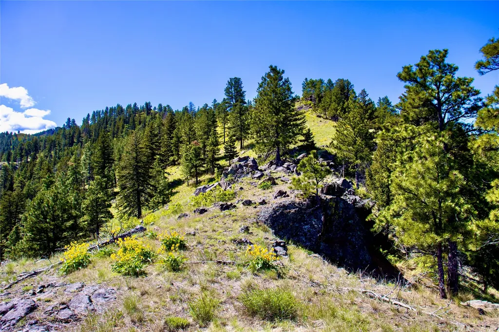 Tbd Novak Creek Lane Cascade MT 59421