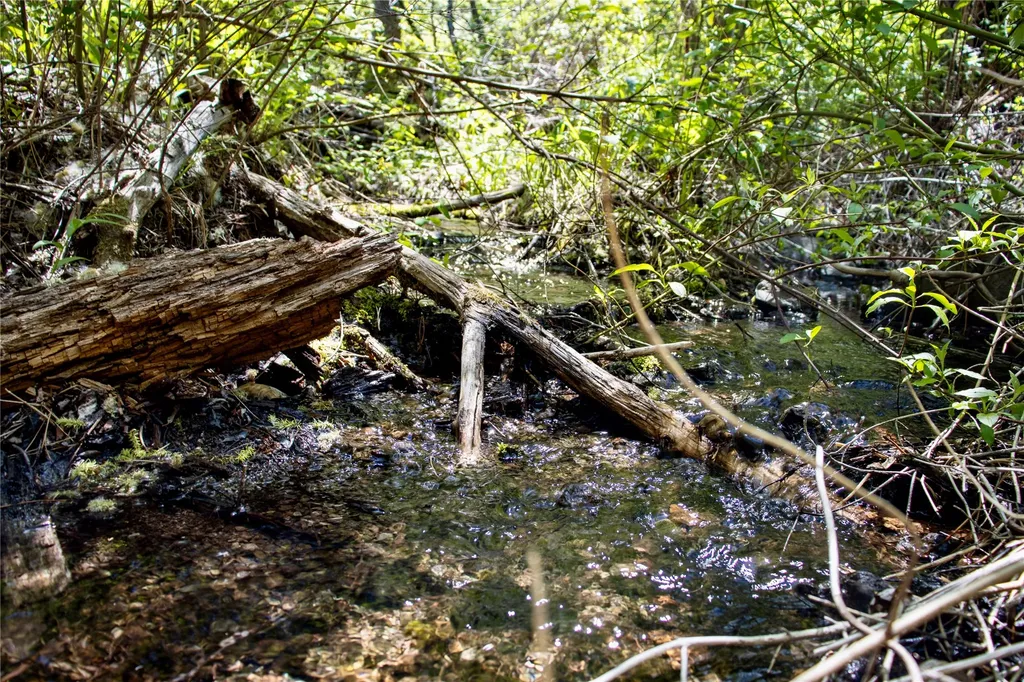 Tbd Novak Creek Lane Cascade MT 59421