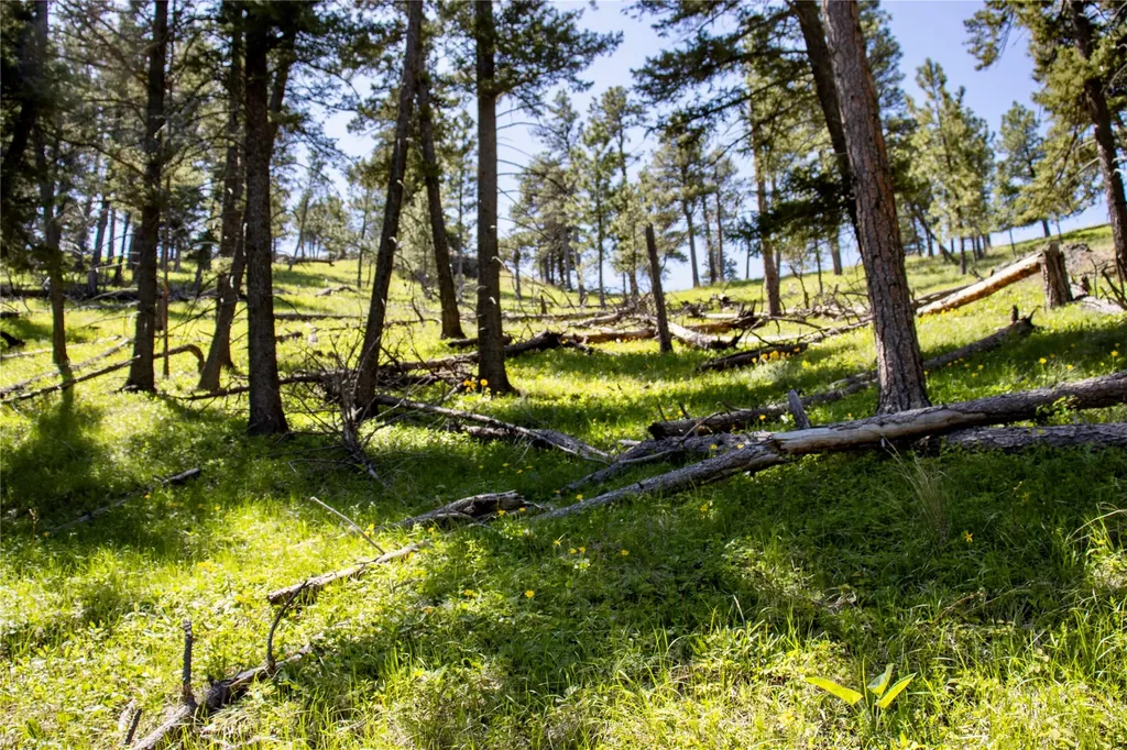 Tbd Novak Creek Lane Cascade MT 59421