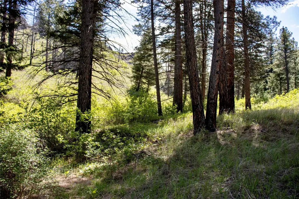 Tbd Novak Creek Lane Cascade MT 59421