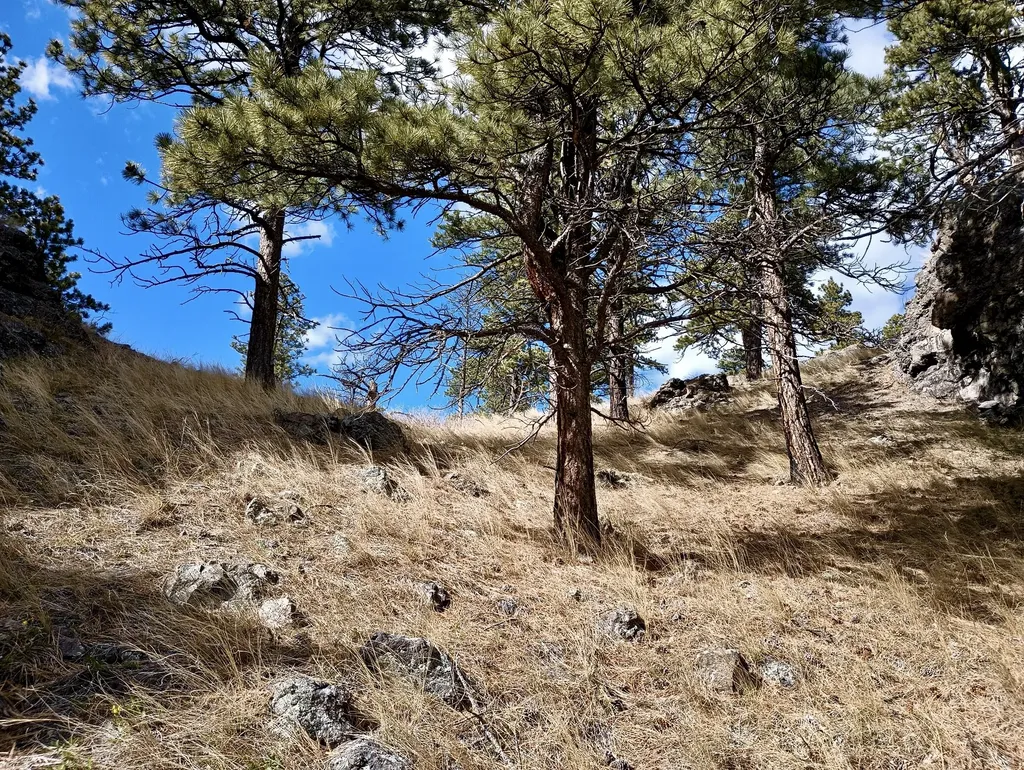 Tbd Novak Creek Lane Cascade MT 59421
