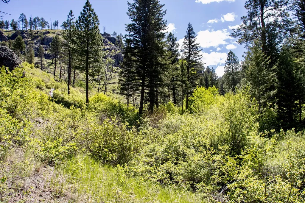 Tbd Novak Creek Lane Cascade MT 59421