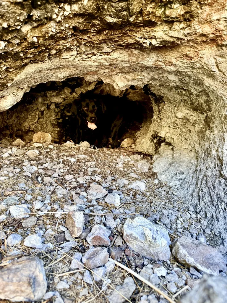 Tbd Novak Creek Lane Cascade MT 59421