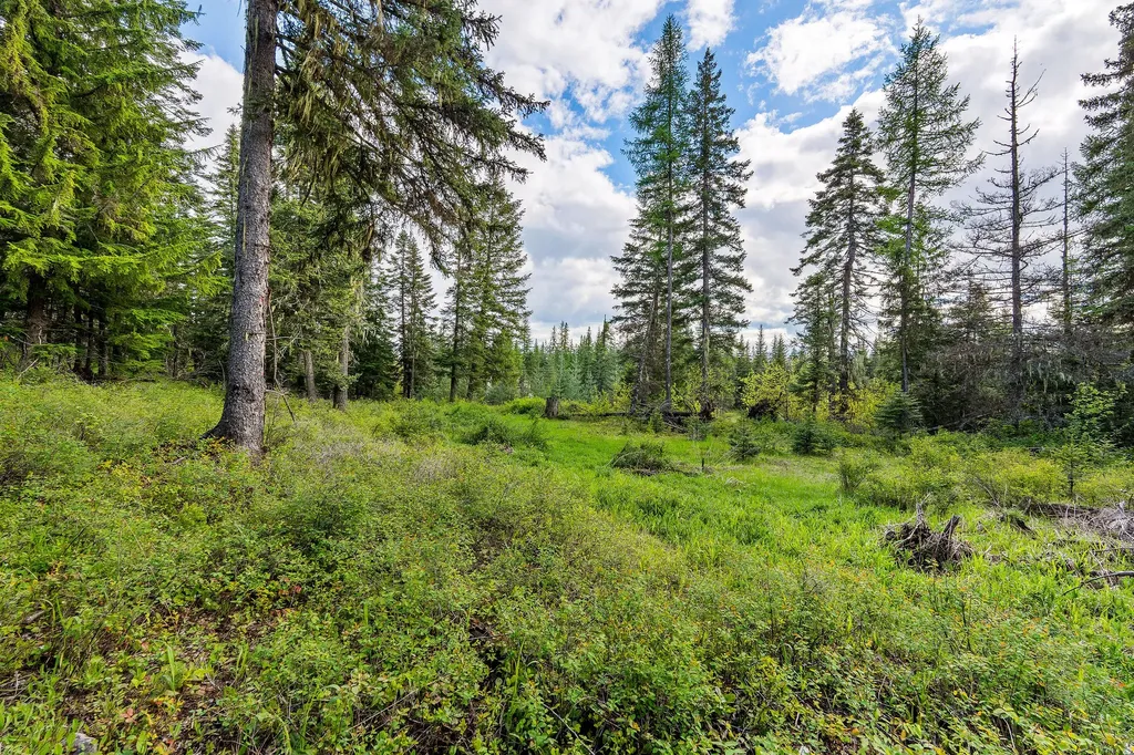 4111 Foothill Road Kalispell MT 59901