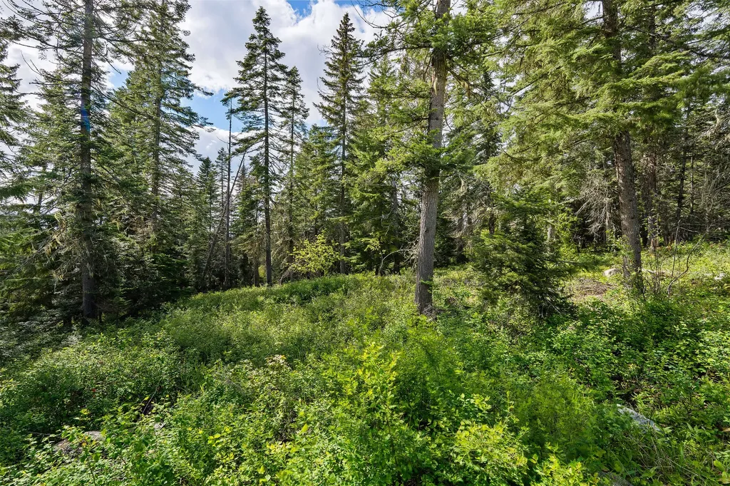 4111 Foothill Road Kalispell MT 59901