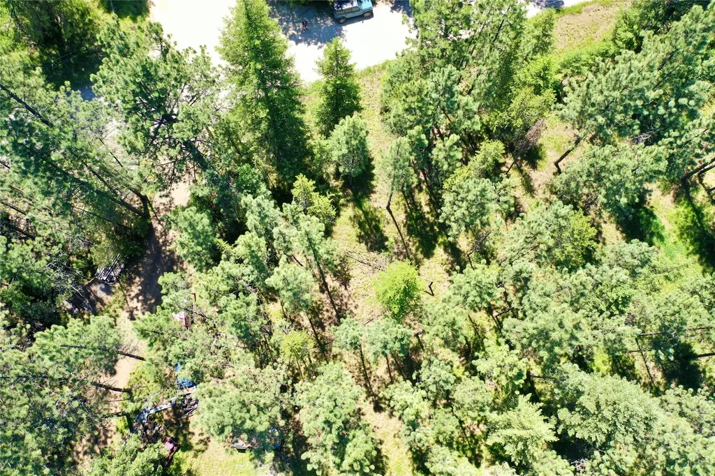 Nhn Robins Nest Lane Superior MT 59872