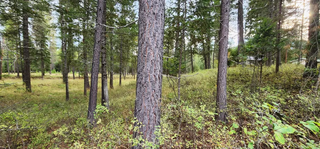 3100 Kootenai River Road Libby MT 59923