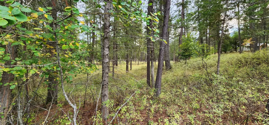 3100 Kootenai River Road Libby MT 59923
