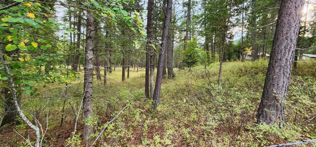 3100 Kootenai River Road Libby MT 59923