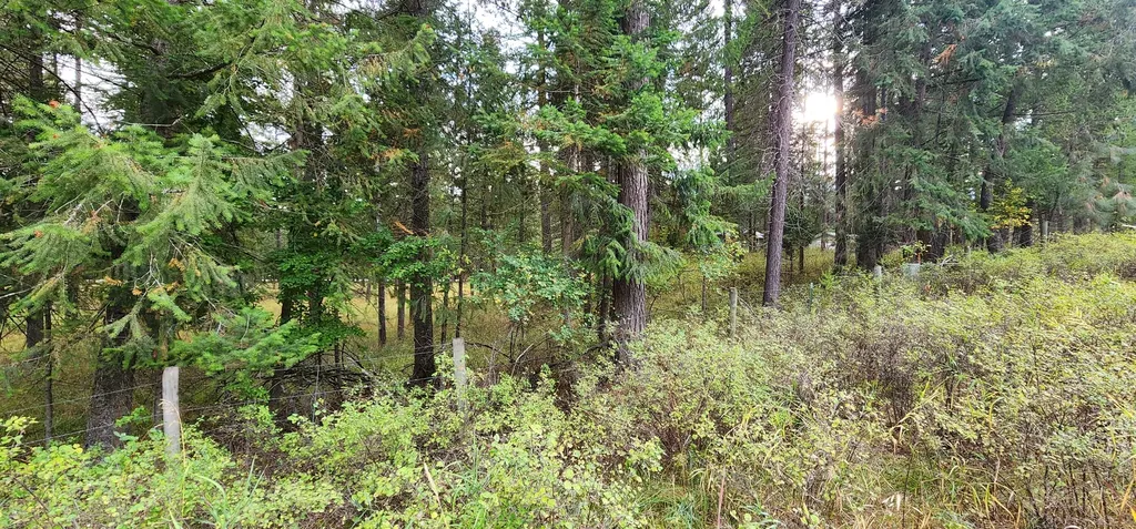 3100 Kootenai River Road Libby MT 59923