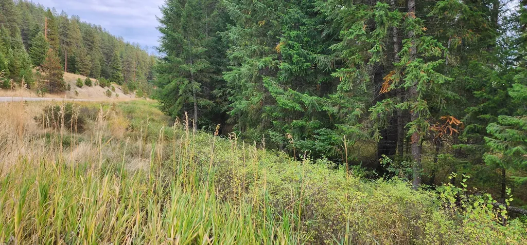3100 Kootenai River Road Libby MT 59923