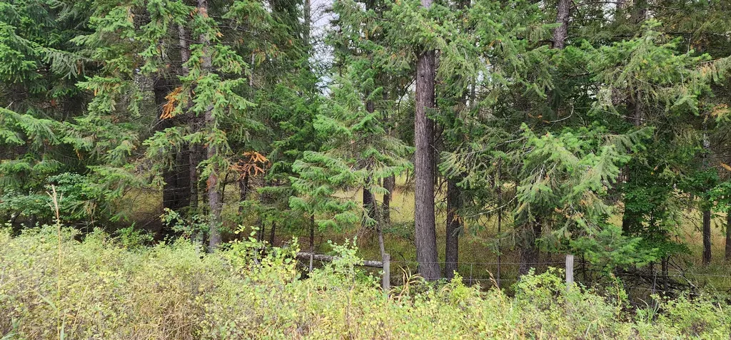 3100 Kootenai River Road Libby MT 59923