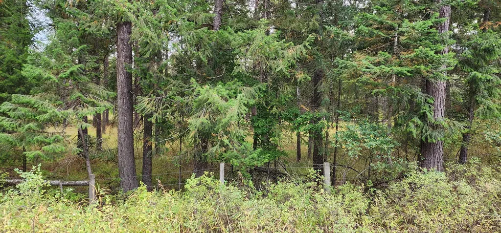 3100 Kootenai River Road Libby MT 59923