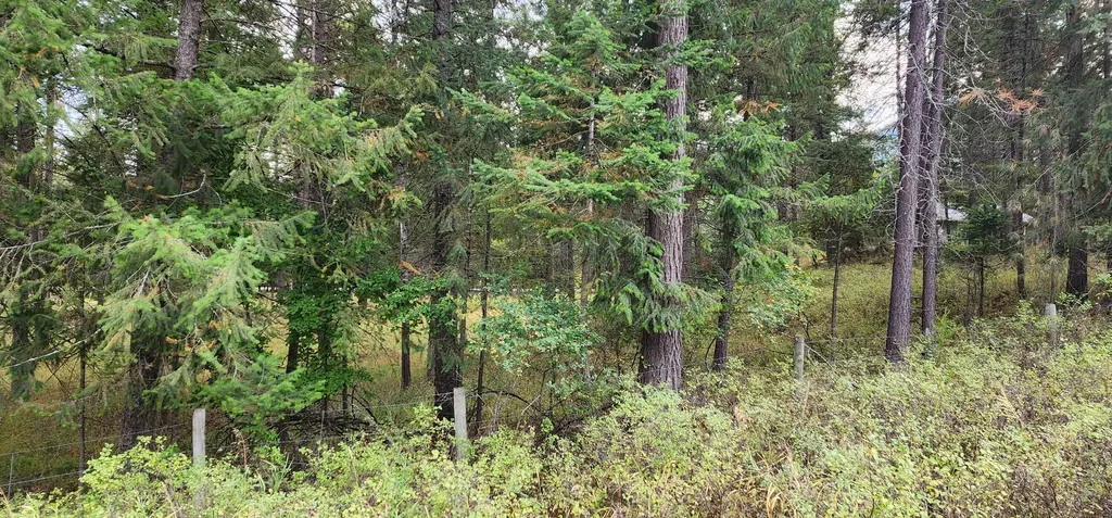 3100 Kootenai River Road Libby MT 59923