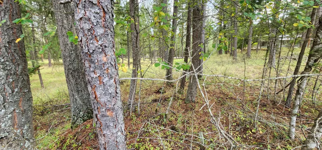 3100 Kootenai River Road Libby MT 59923
