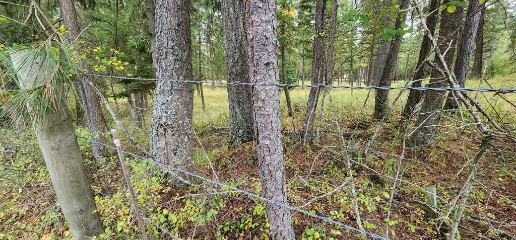 3100 Kootenai River Road Libby MT 59923