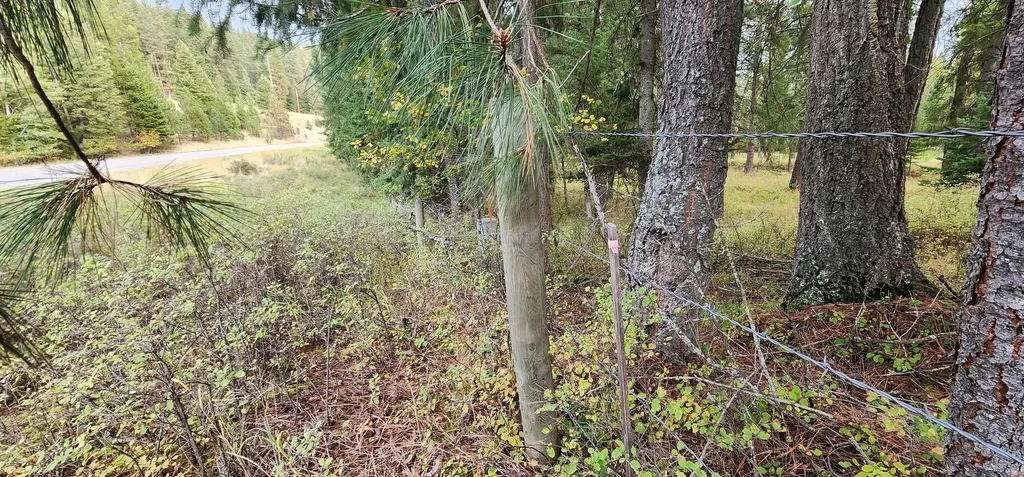 3100 Kootenai River Road Libby MT 59923