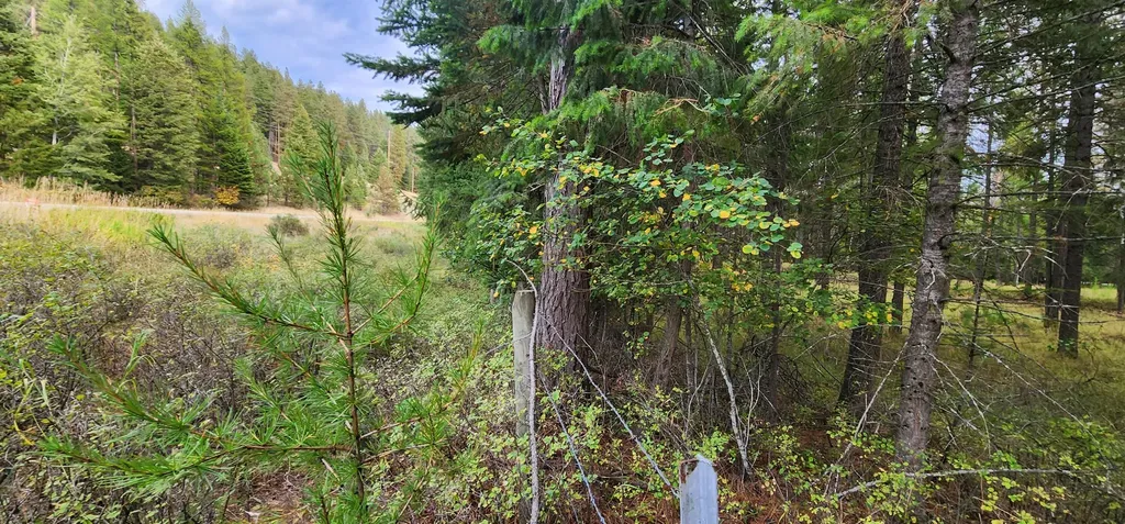 3100 Kootenai River Road Libby MT 59923