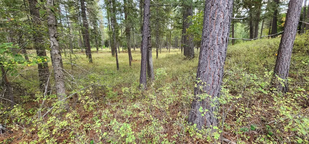 3100 Kootenai River Road Libby MT 59923