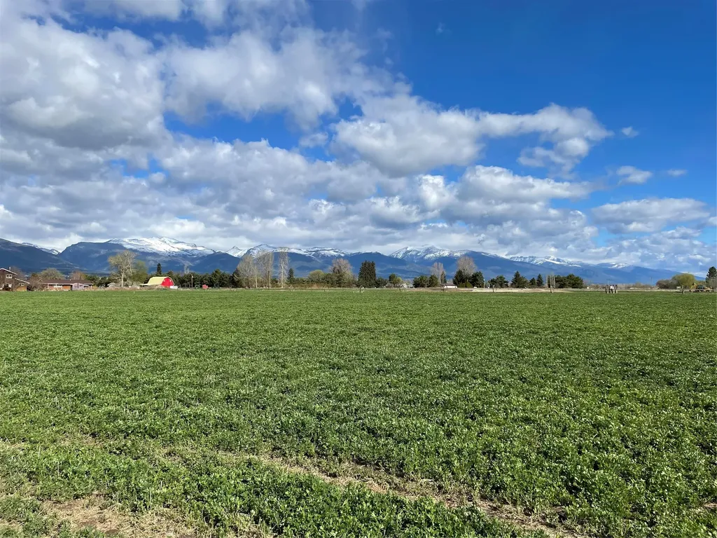 1236 Mysa Court Corvallis MT 59828