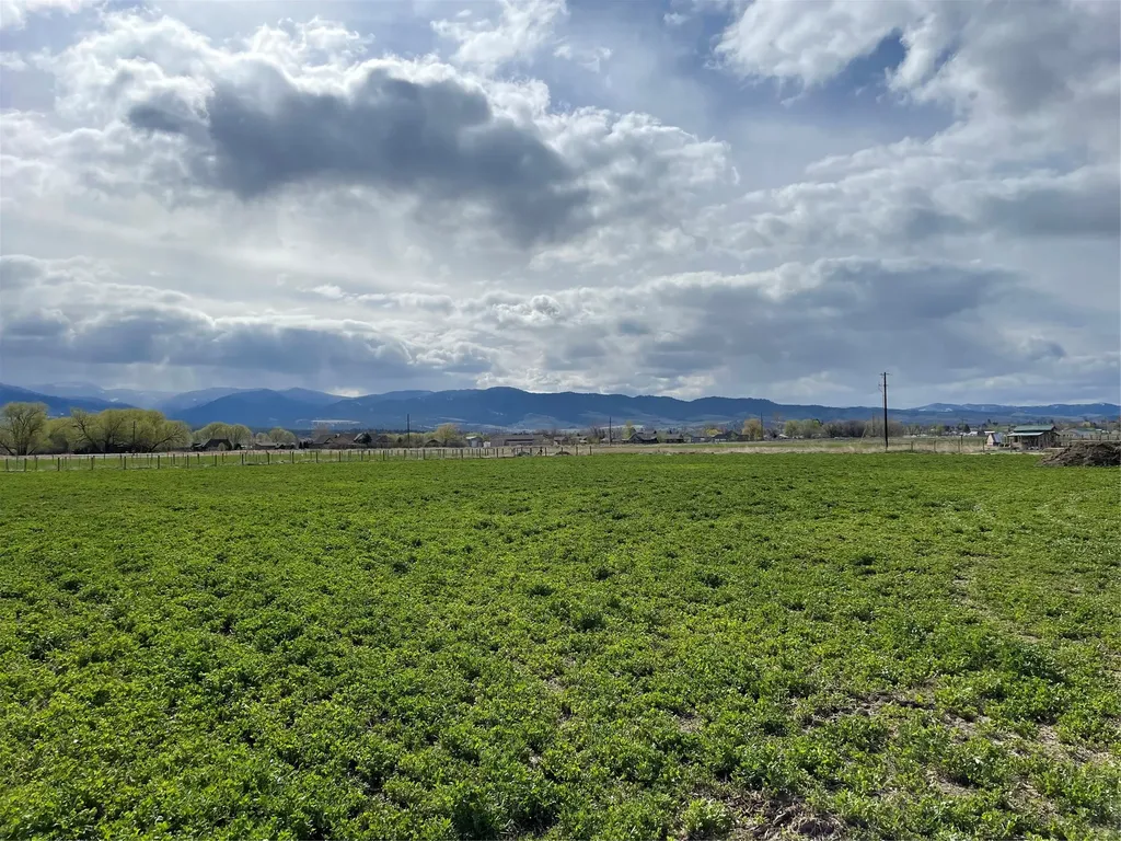 1236 Mysa Court Corvallis MT 59828