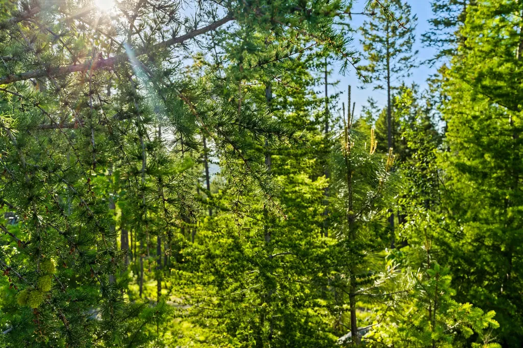 62 Trails End Court Bigfork MT 59911