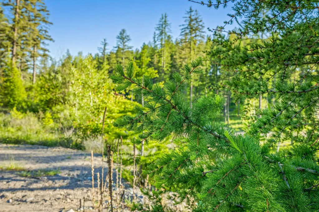 62 Trails End Court Bigfork MT 59911