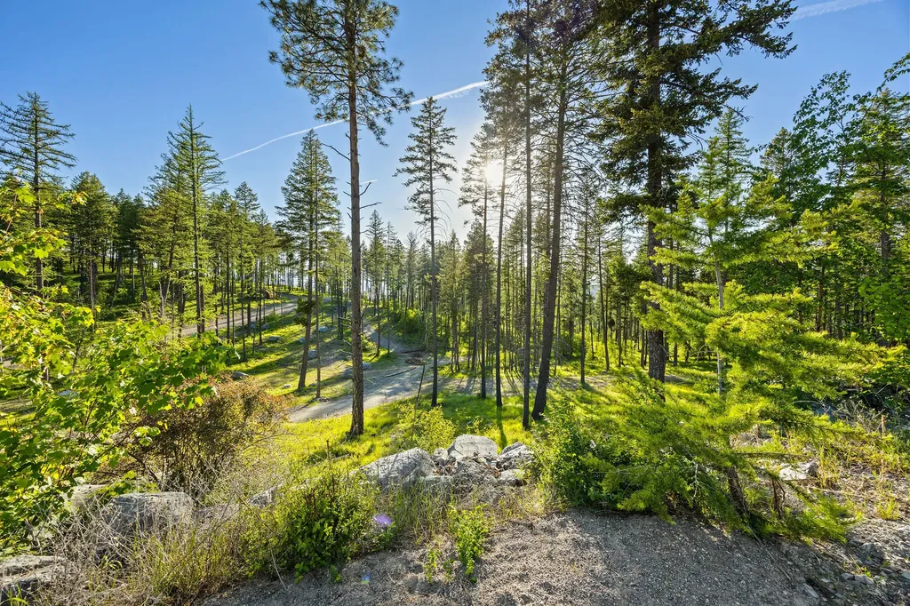 62 Trails End Court Bigfork MT 59911