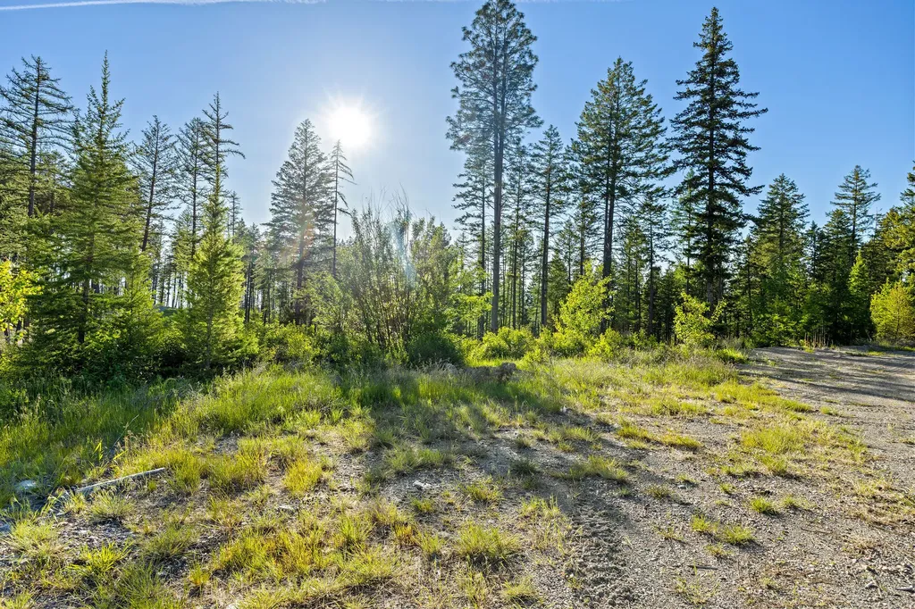 62 Trails End Court Bigfork MT 59911
