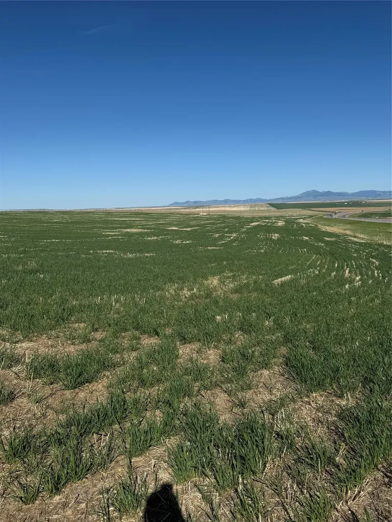 Tbd Us Highway 89 Great Falls MT 59405