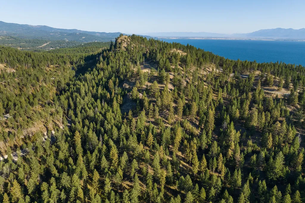 207 Angel Point Preserve Lakeside MT 59922