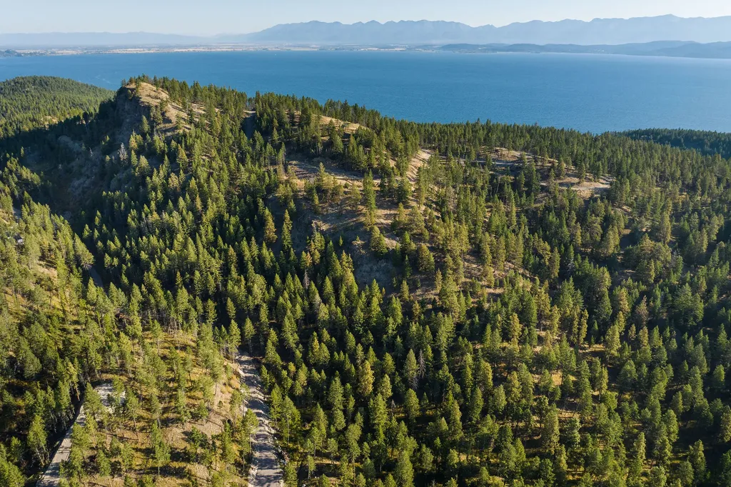 207 Angel Point Preserve Lakeside MT 59922