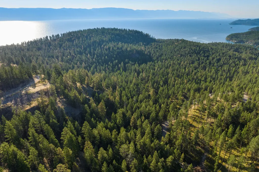 207 Angel Point Preserve Lakeside MT 59922