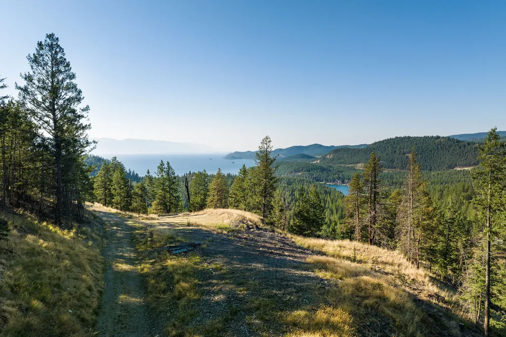 207 Angel Point Preserve Lakeside MT 59922
