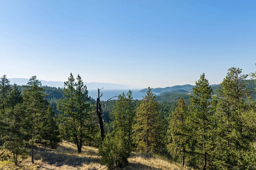 207 Angel Point Preserve Lakeside MT 59922