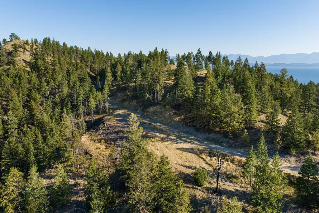 207 Angel Point Preserve Lakeside MT 59922