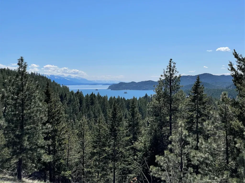 207 Angel Point Preserve Lakeside MT 59922